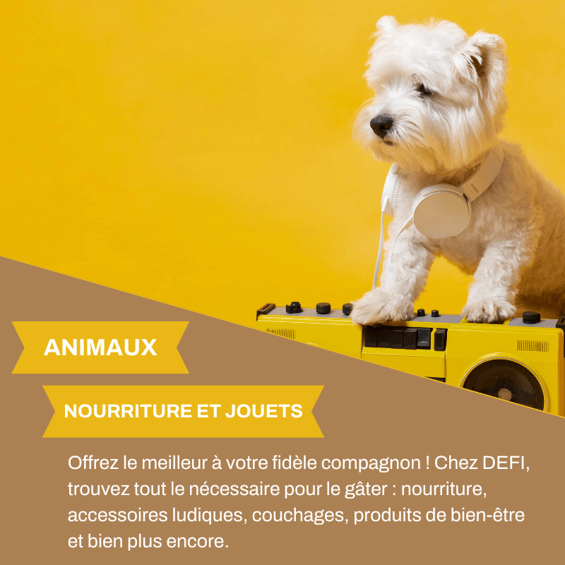 Accessoires pour animaux à prix abordable
