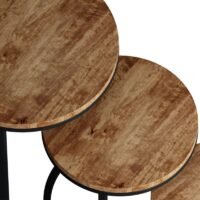 Table d'appoint 'Plano' Bois de Manguier (Set de 3)